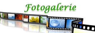 fotogalerie